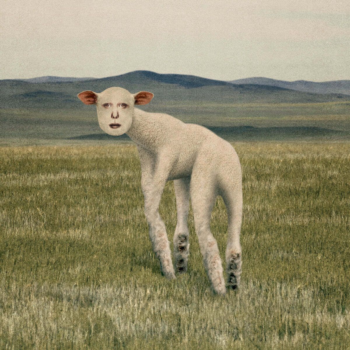 Photo 13 description