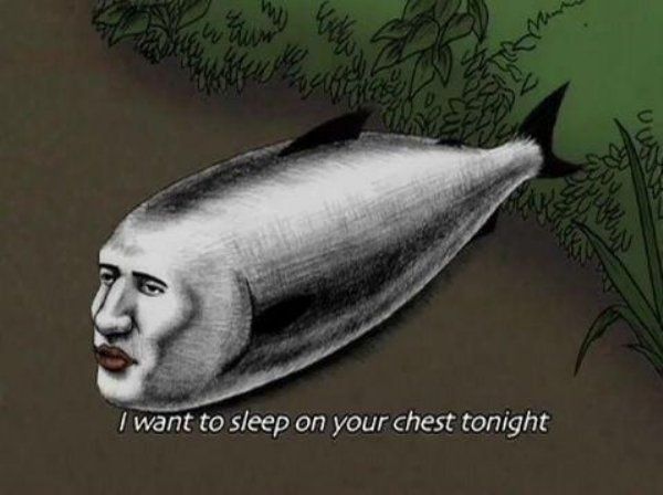 Photo 18 description