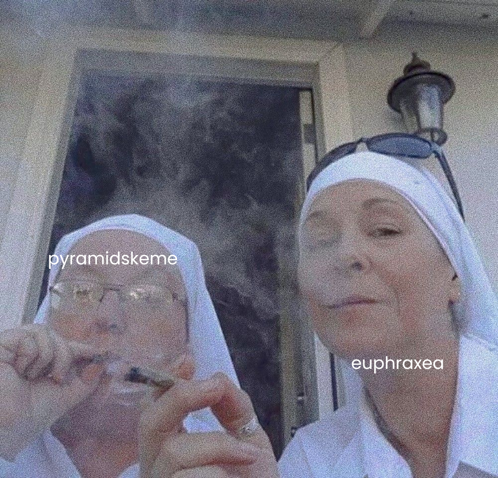 Two friends wearing white veils and posing for a selfie