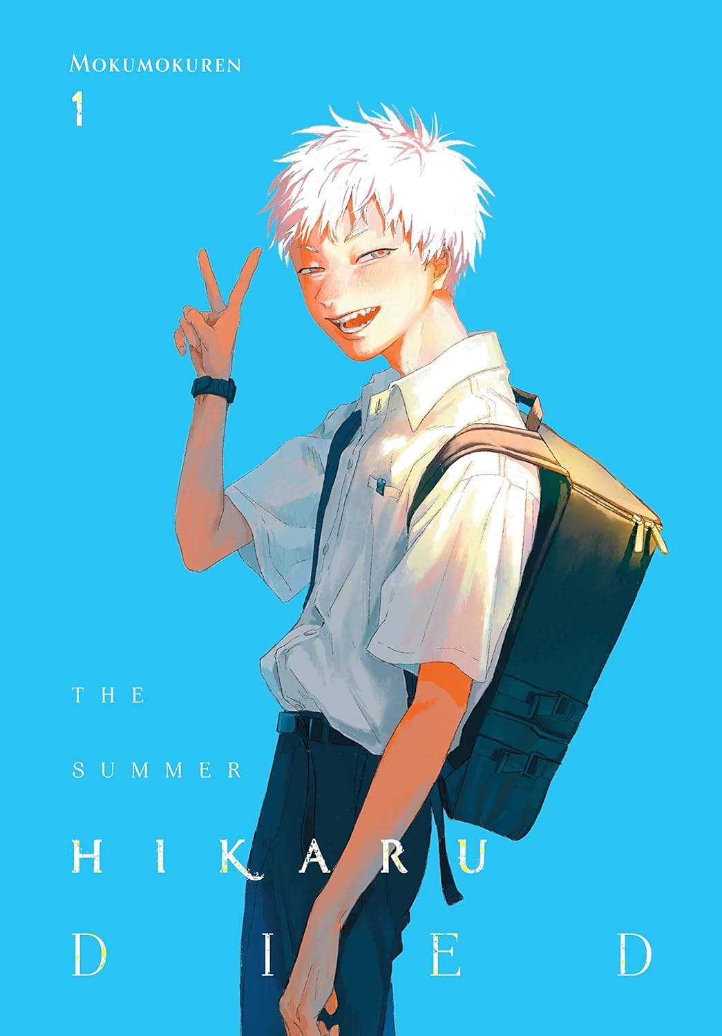 The Summer Hikaru Died cover art